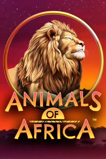 Бесплатная демо игра Animals of Africa ™ | Джой Казино без регистрации