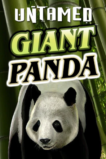 Бесплатная демо игра Untamed - Giant Panda | Джой Казино без регистрации