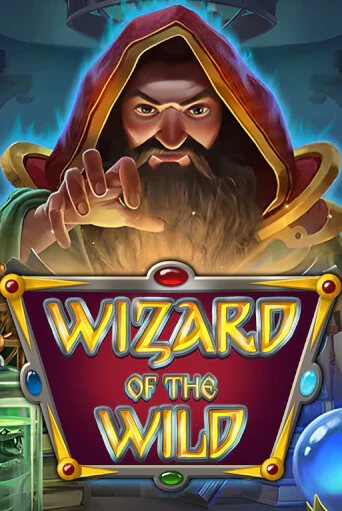 Бесплатная демо игра Wizard of the Wild | Джой Казино без регистрации